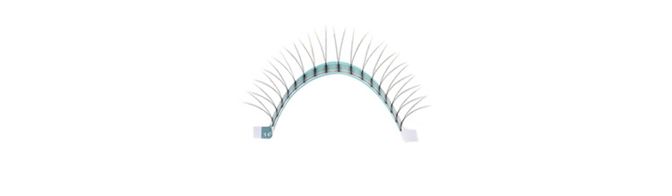 The 3rd detail of 2D lash.